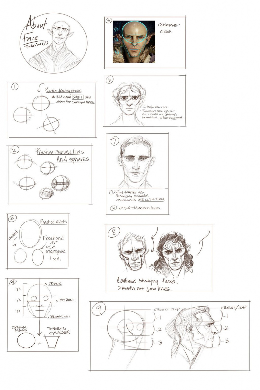 Face Proportions (Jawline and Chin)  Face proportions, Human face