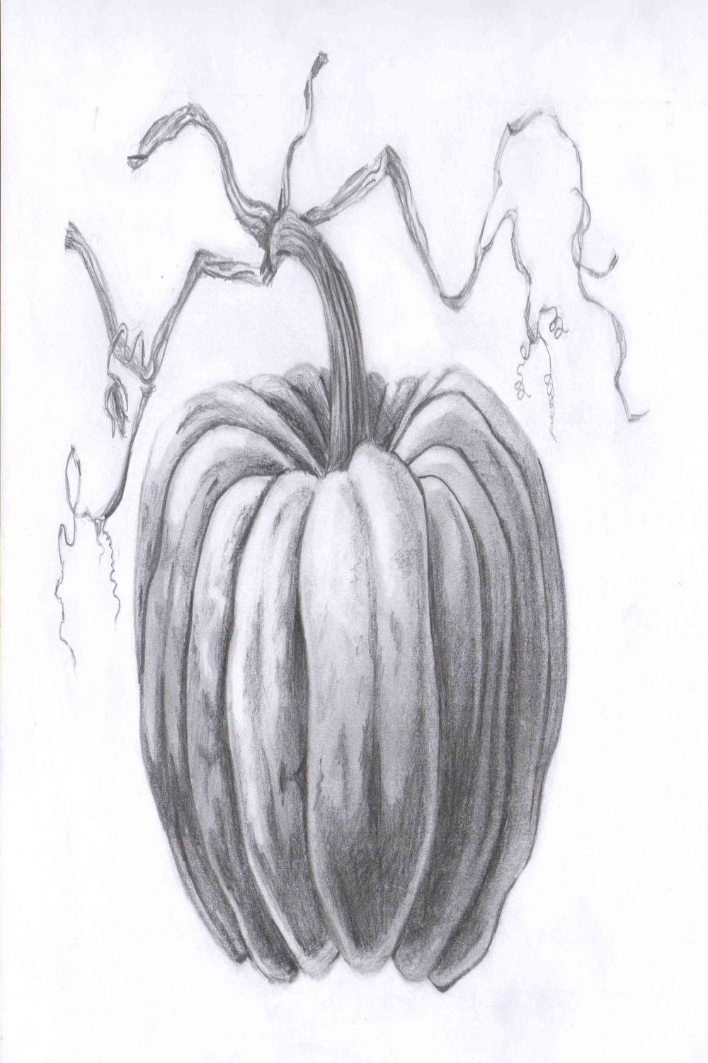 Fall drawings, Vegetable drawing, Drawings