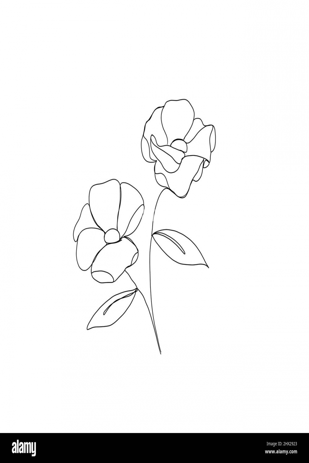 flower continuous line drawing. One line art