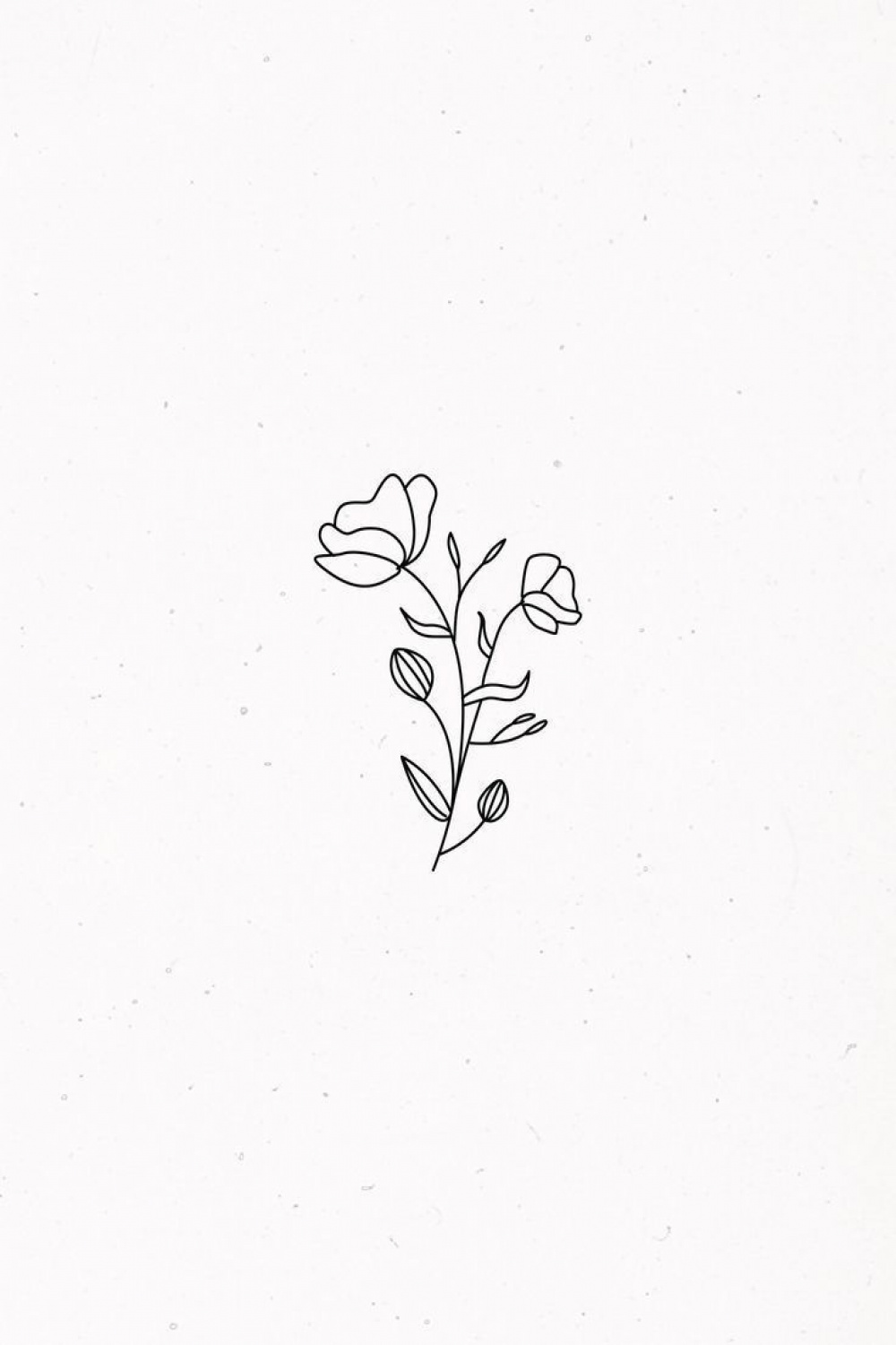 Flower illustration