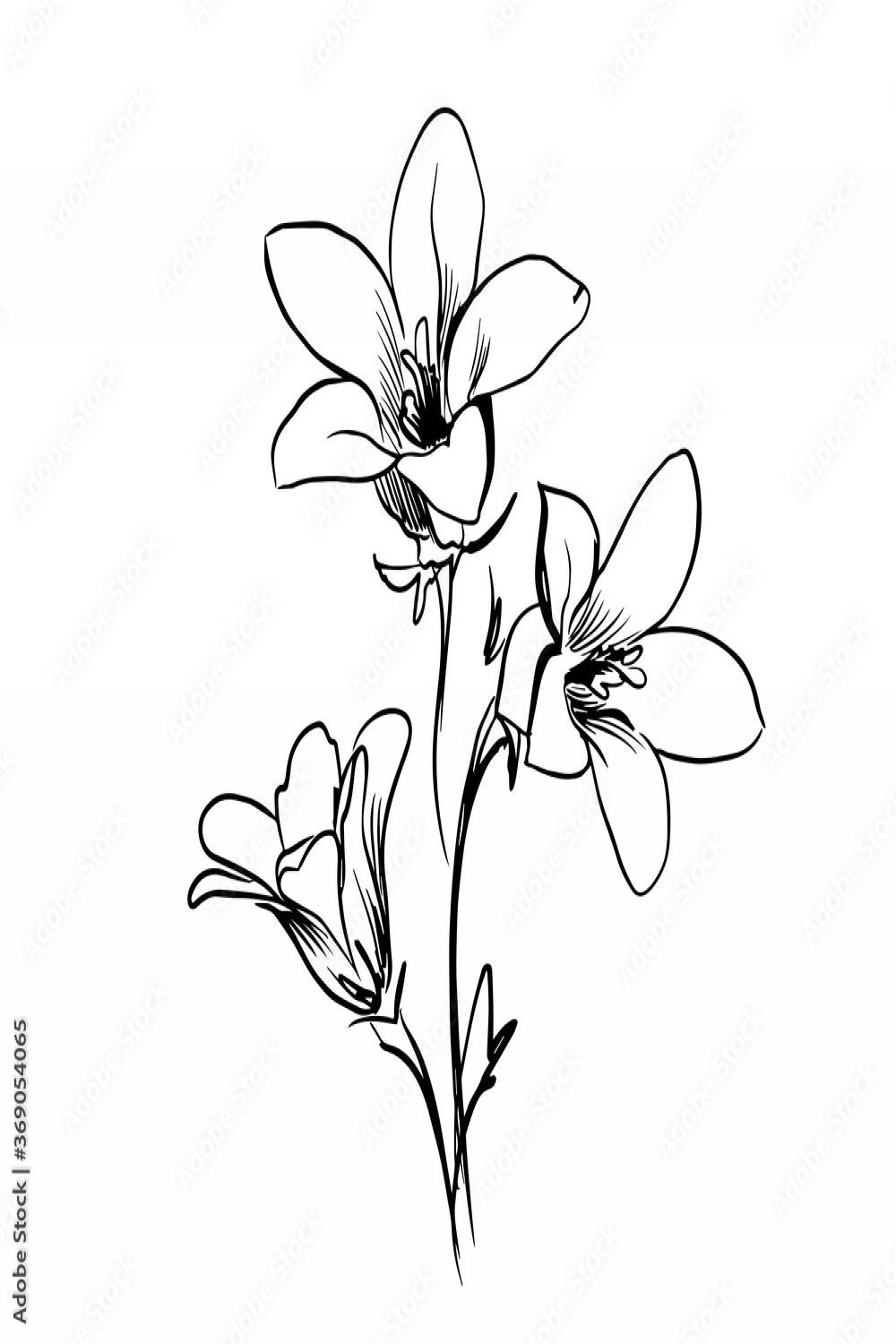Flower line art. Minimalistic contour drawing. Line art work