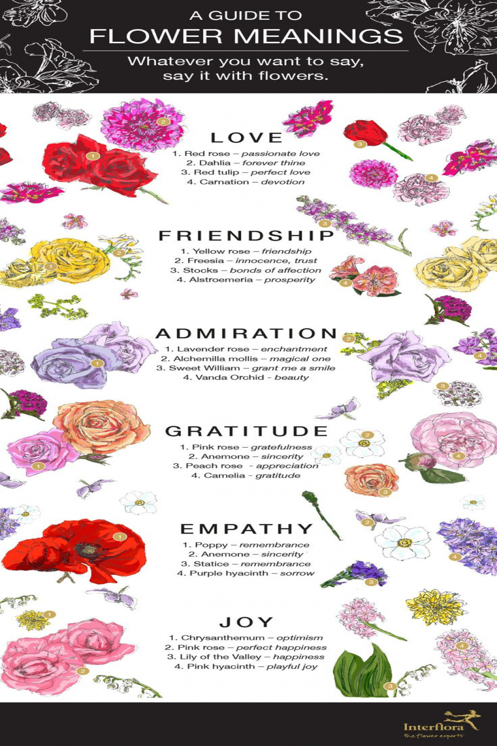 Flower Meanings Infographic - Interflora  Flower meanings, Flower