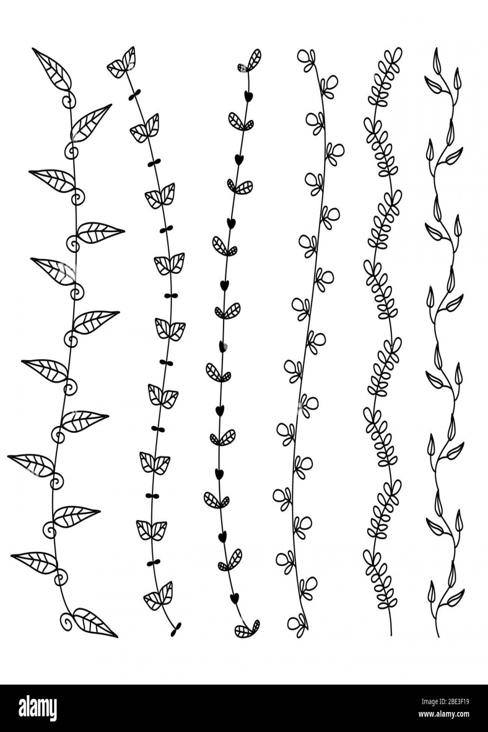 Flower vine leaves hand drawn doodle vector line border set and