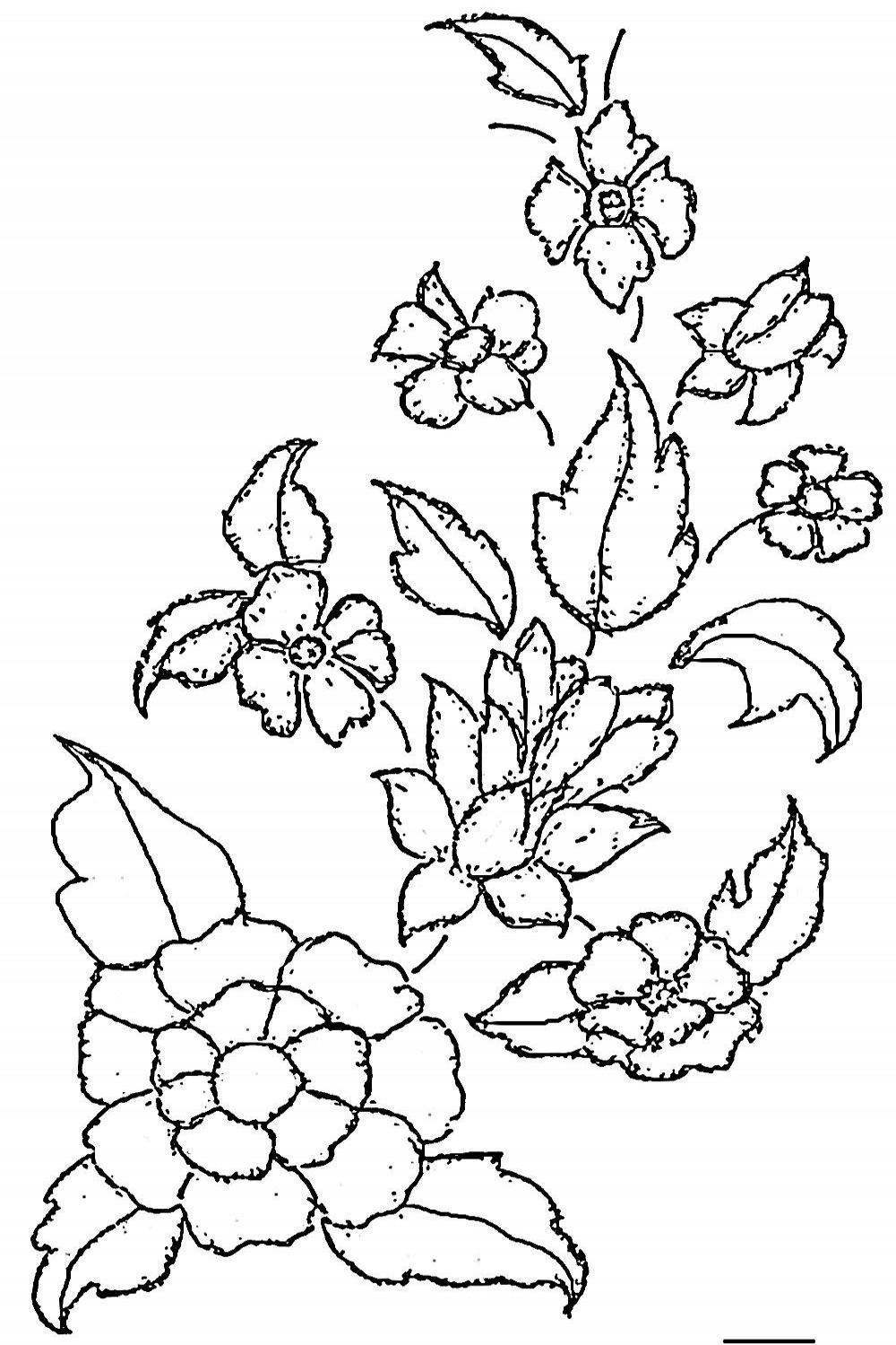 Glass painting patterns, Flower drawing, Glass painting designs
