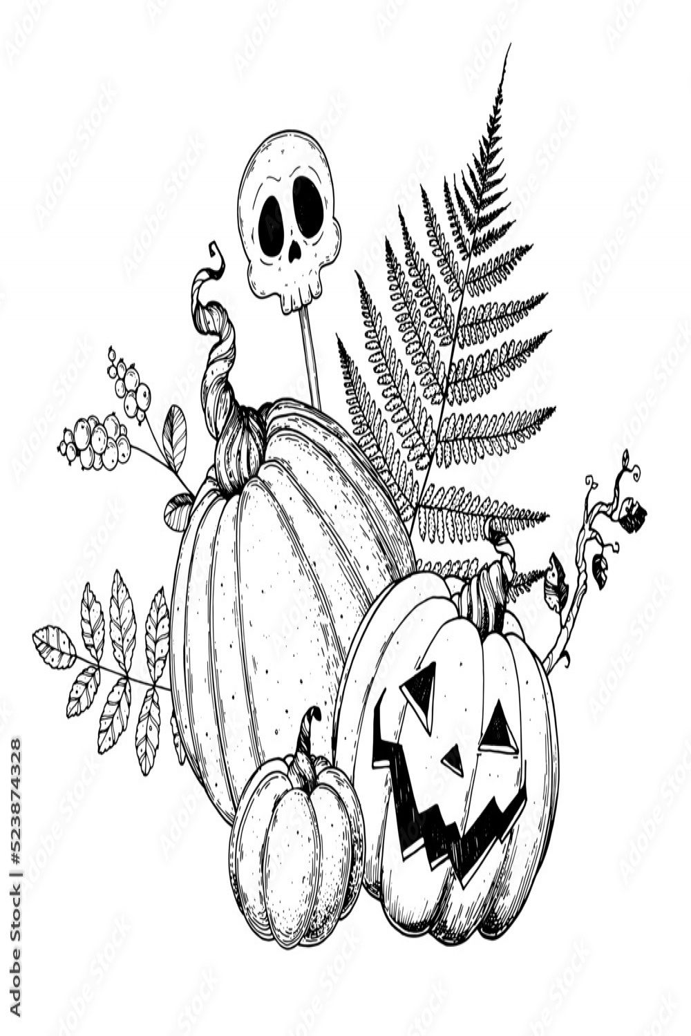 Halloween Pumpkin sketch illustration