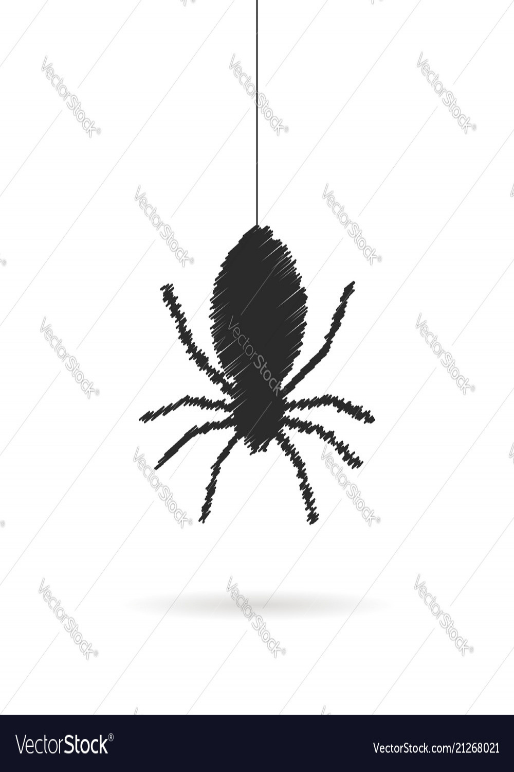 Hand drawing spider icon with shadow Royalty Free Vector