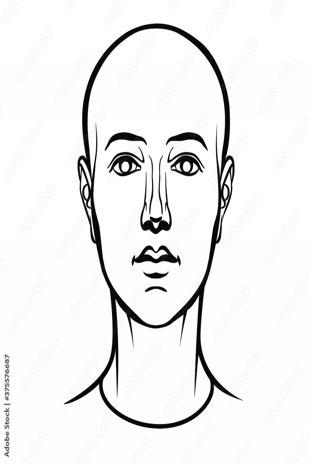 Hand drawn model of androgynous human head in face