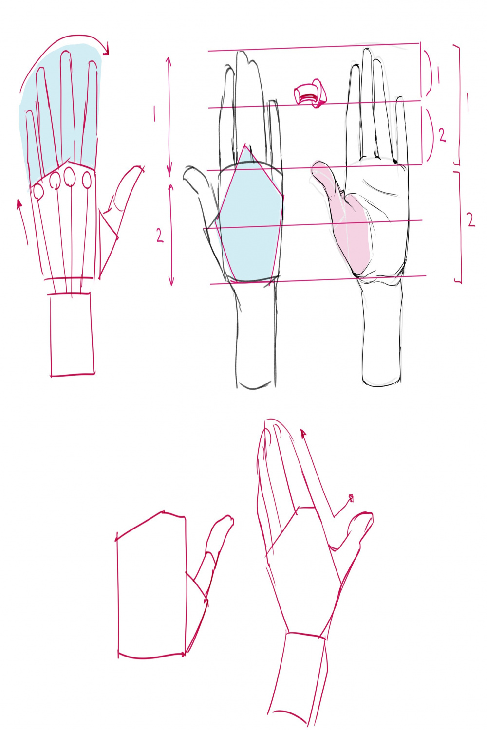 Hand Gestures and Simplifying the Hand! “Anatomy How to Draw by