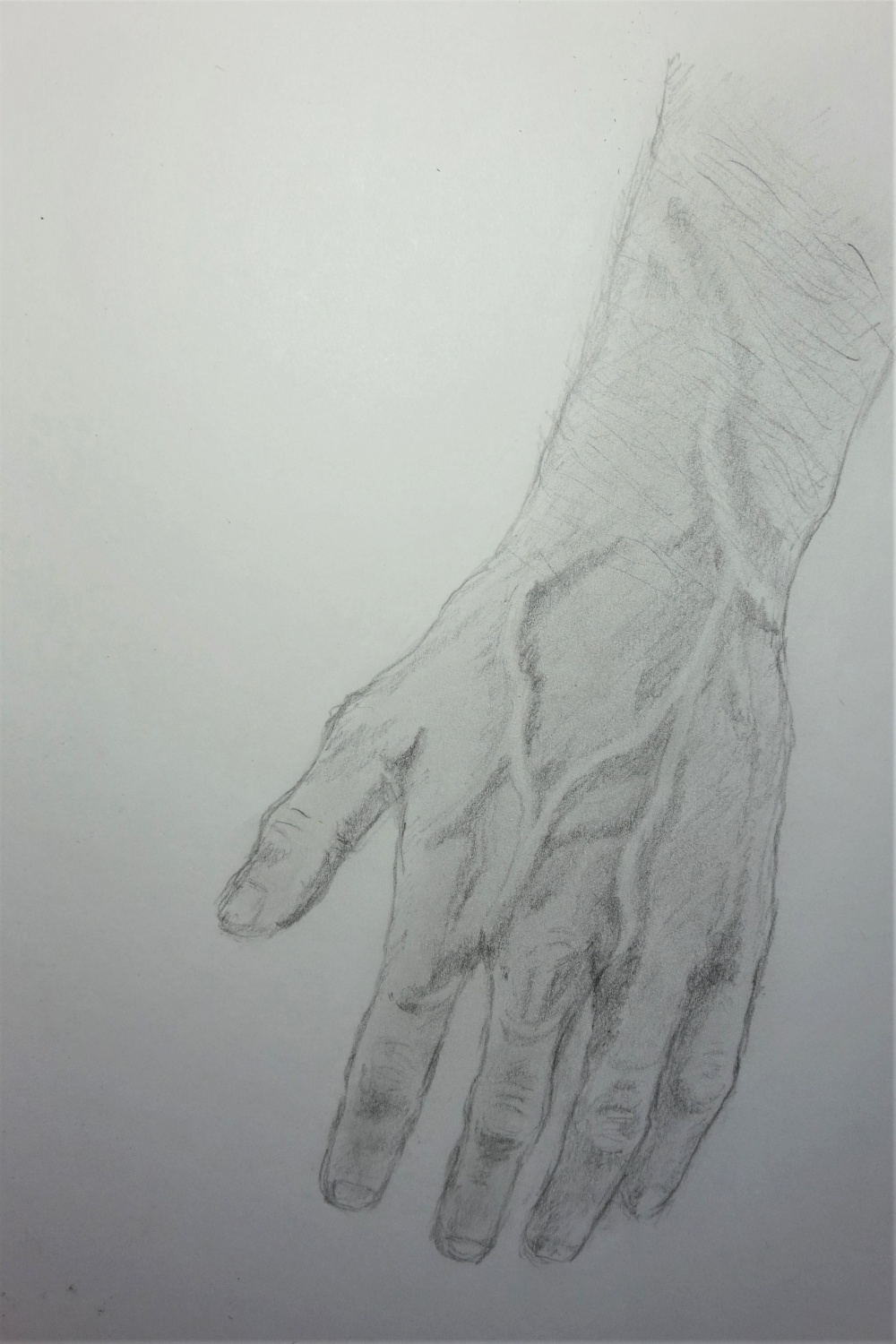 Hand study with veins and wrist hair