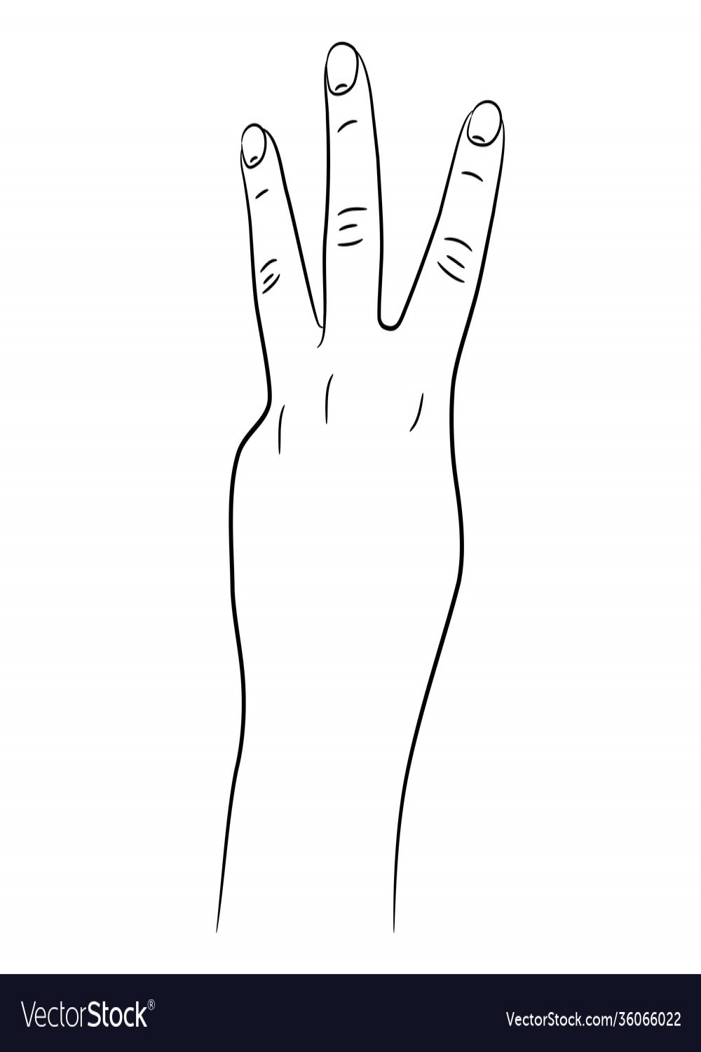 Hand with three fingers raised up sketch draw Vector Image