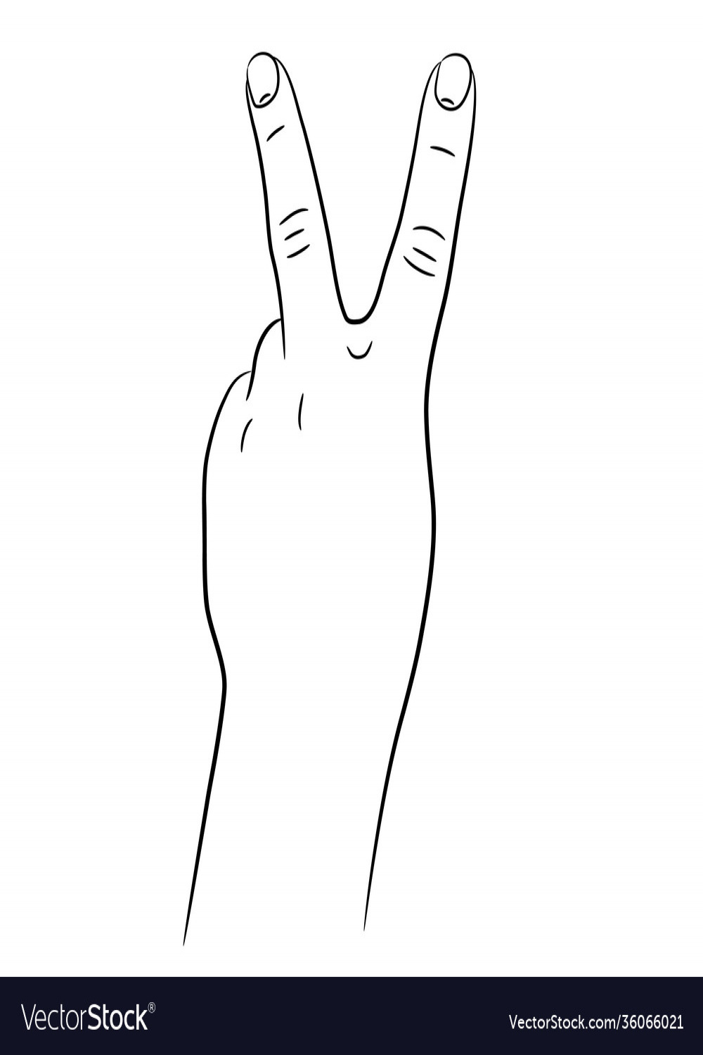 Hand with two fingers raised up sketch draw from Vector Image
