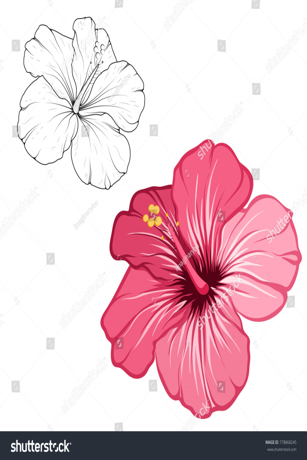 Hibiskus schöne blühende Blume einzeln auf: Stock-Vektorgrafik