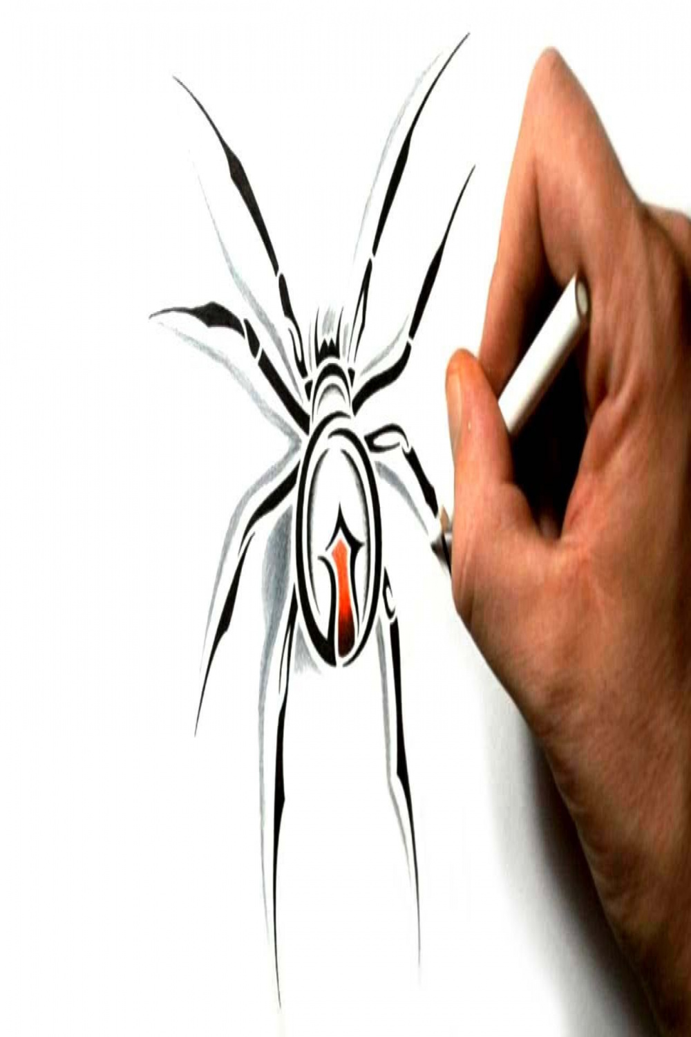 How to Draw a Black Widow Spider - Tribal Tattoo Design