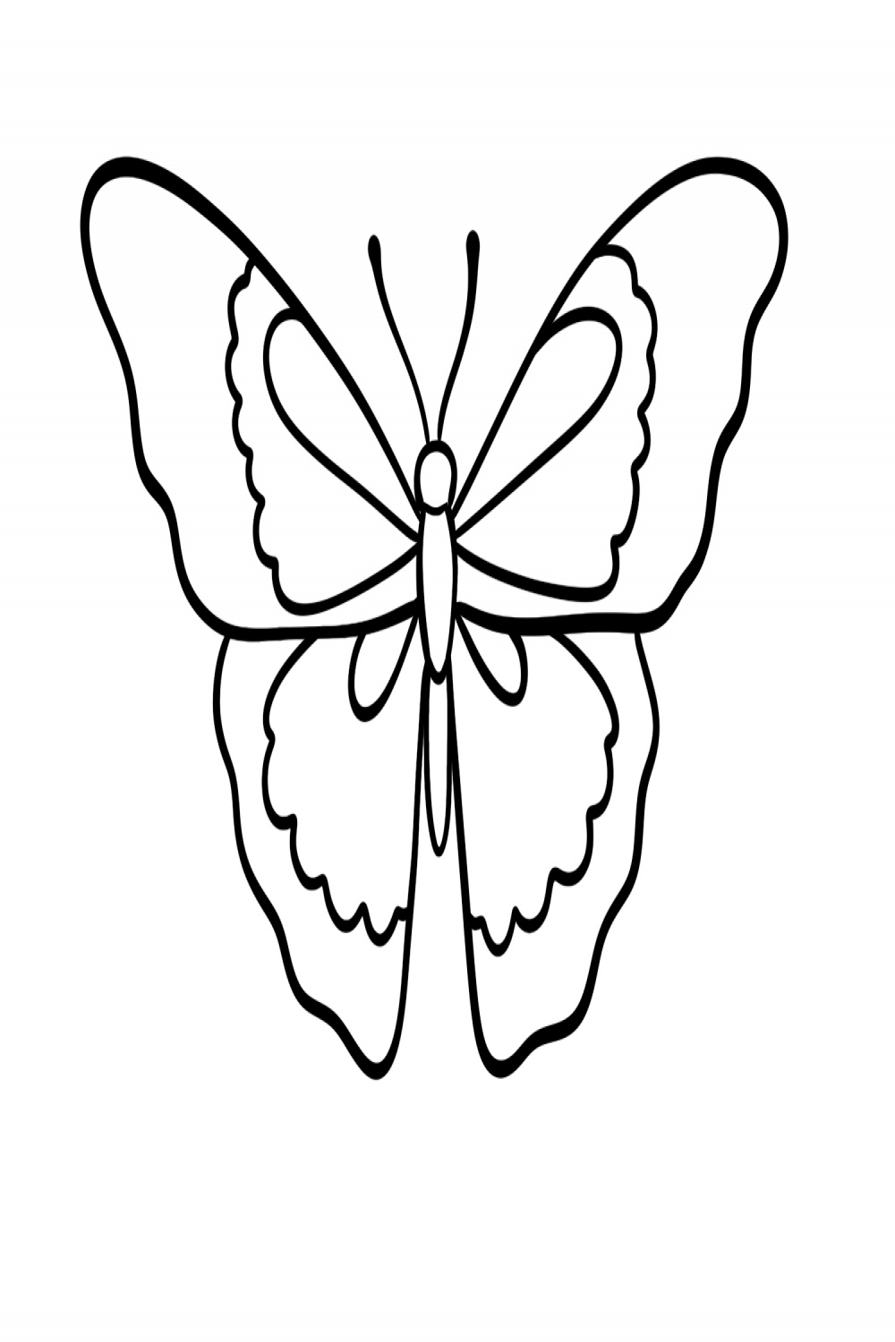 How to Draw a Butterfly  Design School