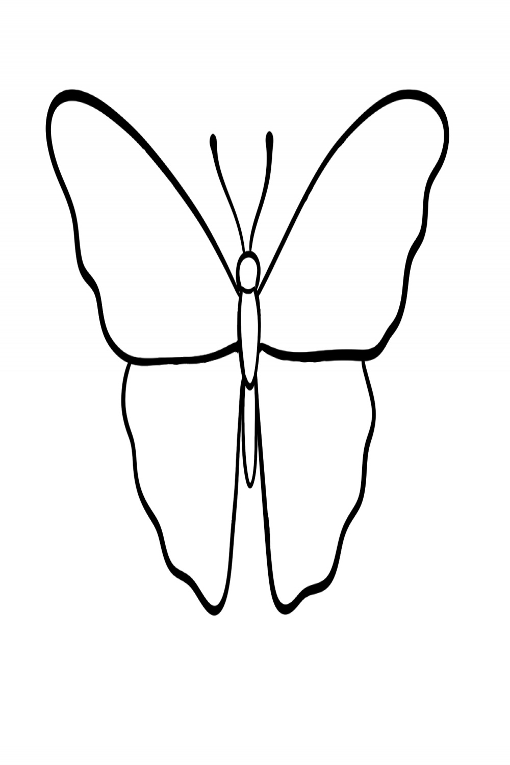 How to Draw a Butterfly  Design School