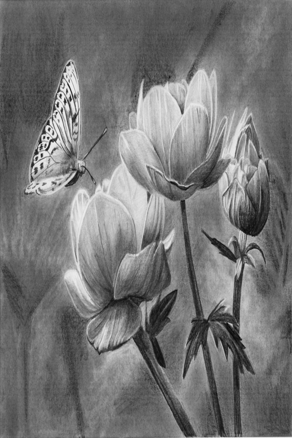 How to Draw a Butterfly on a Flower — Online Art Lessons