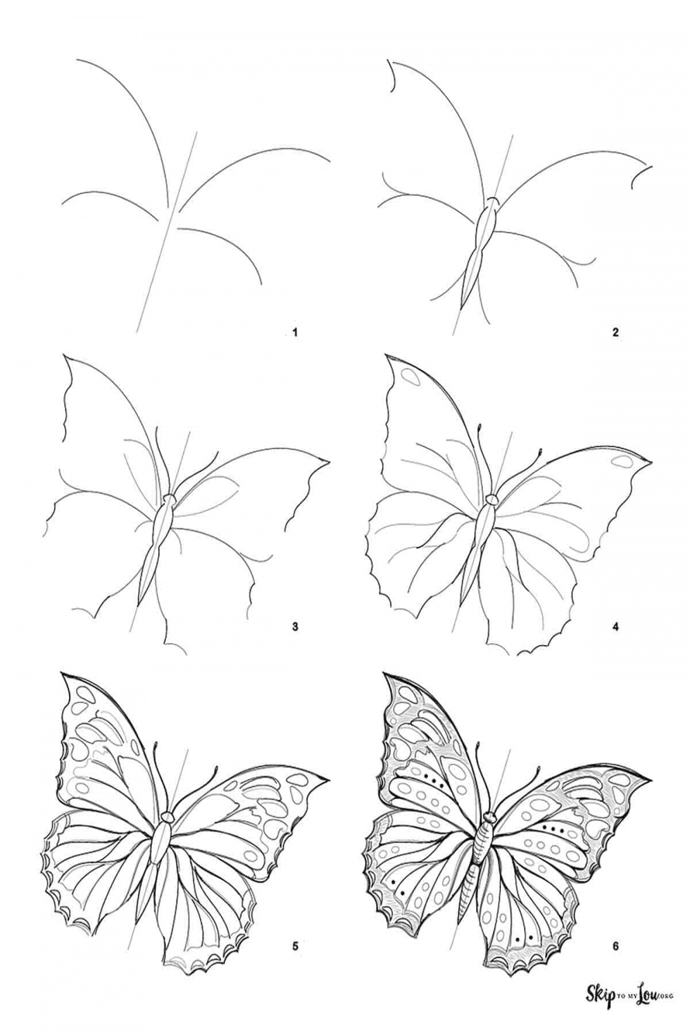 How to Draw a Butterfly Step by Step  Skip To My Lou