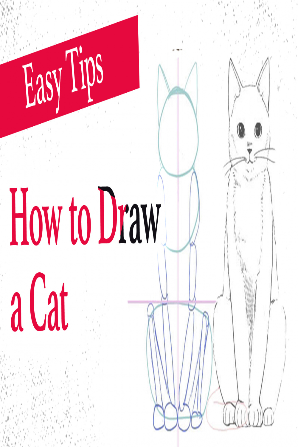 How To Draw a Cat () Body and Pose  MediBang Paint - the free