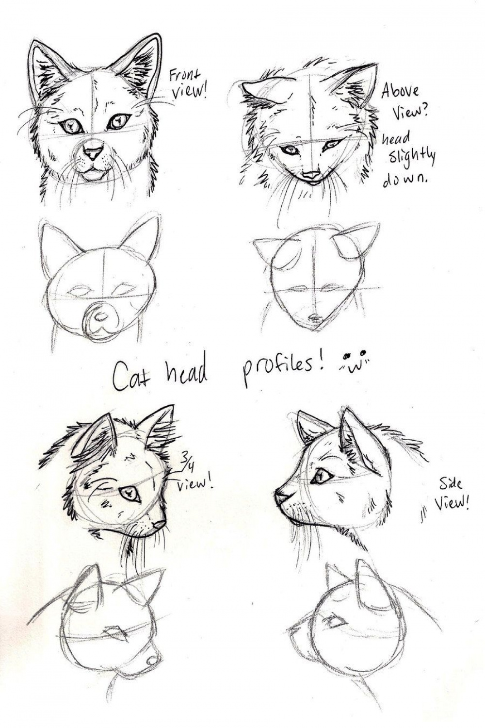 HOW TO DRAW A CAT HEAD SIDE VIEW  Cat drawing tutorial, Drawings