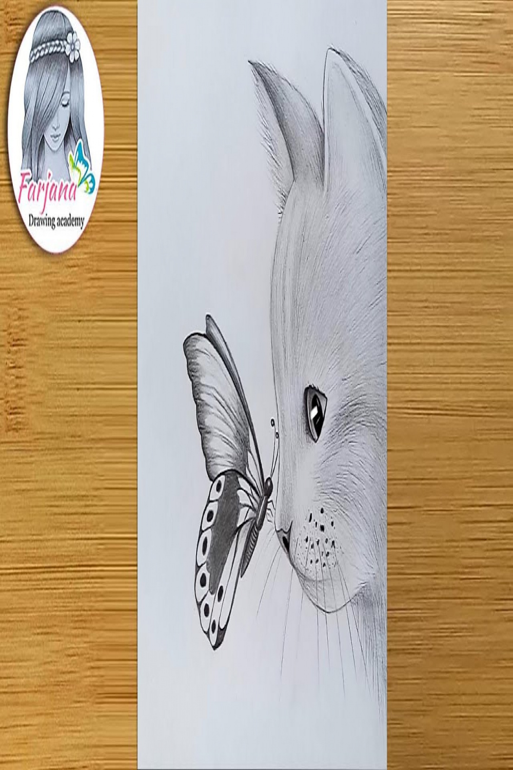 How to draw a cat with butterfly - pencil sketch for beginners  step by  step drawing