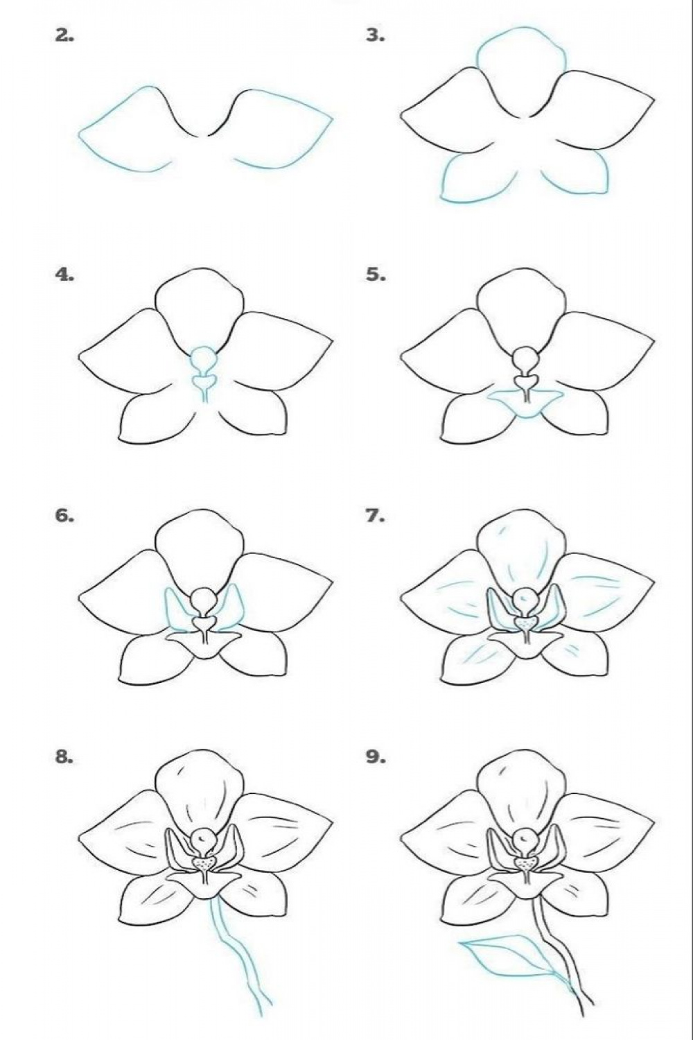 how-to-draw-a-flower-step-by-step-diy-tutorial-easy-pictures-to