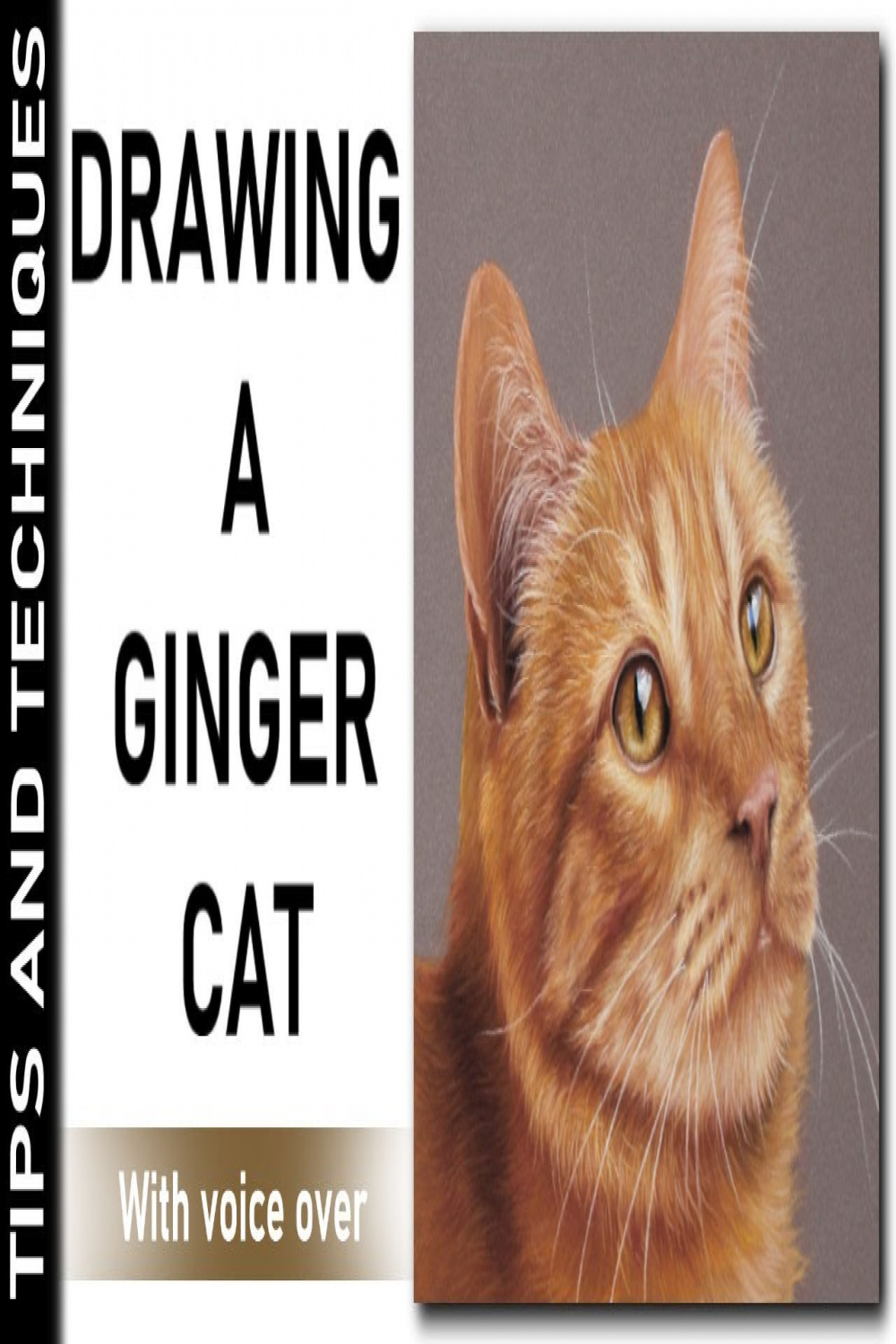 HOW TO DRAW A GINGER CAT IN PASTELS  DRAWING GINGER FUR