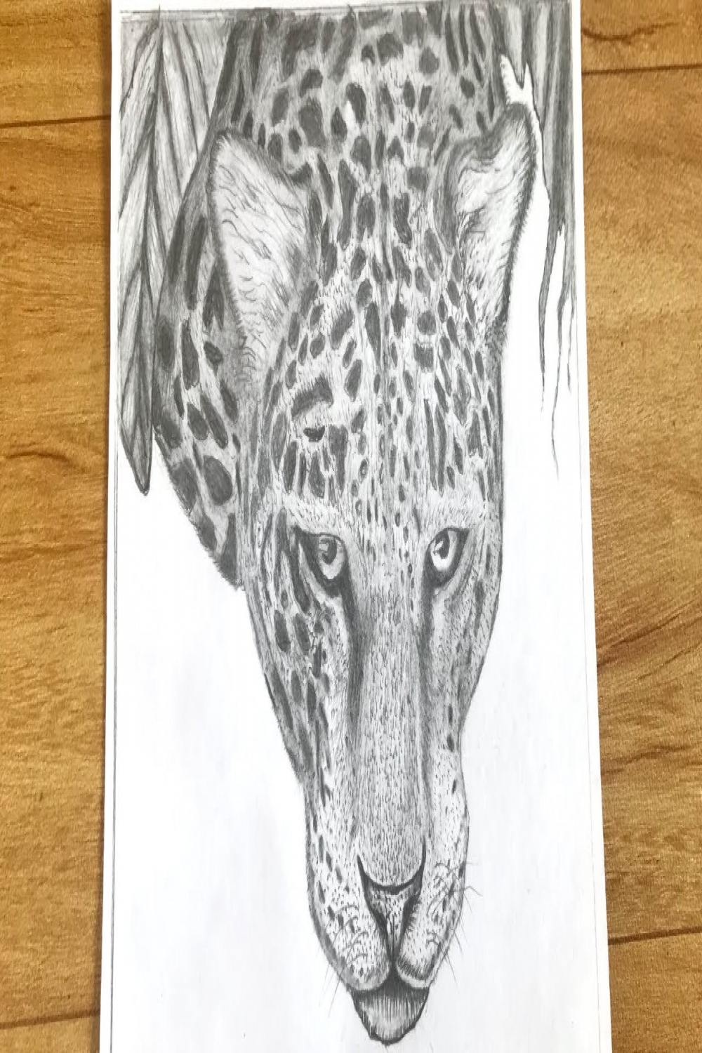 How to draw a jaguar face  How to draw a jaguar  How to draw a jaguar  face step by step