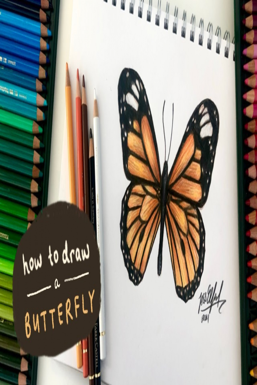 HOW TO DRAW A MONARCH BUTTERFLY (EASY)  drawing insects with coloured  pencils