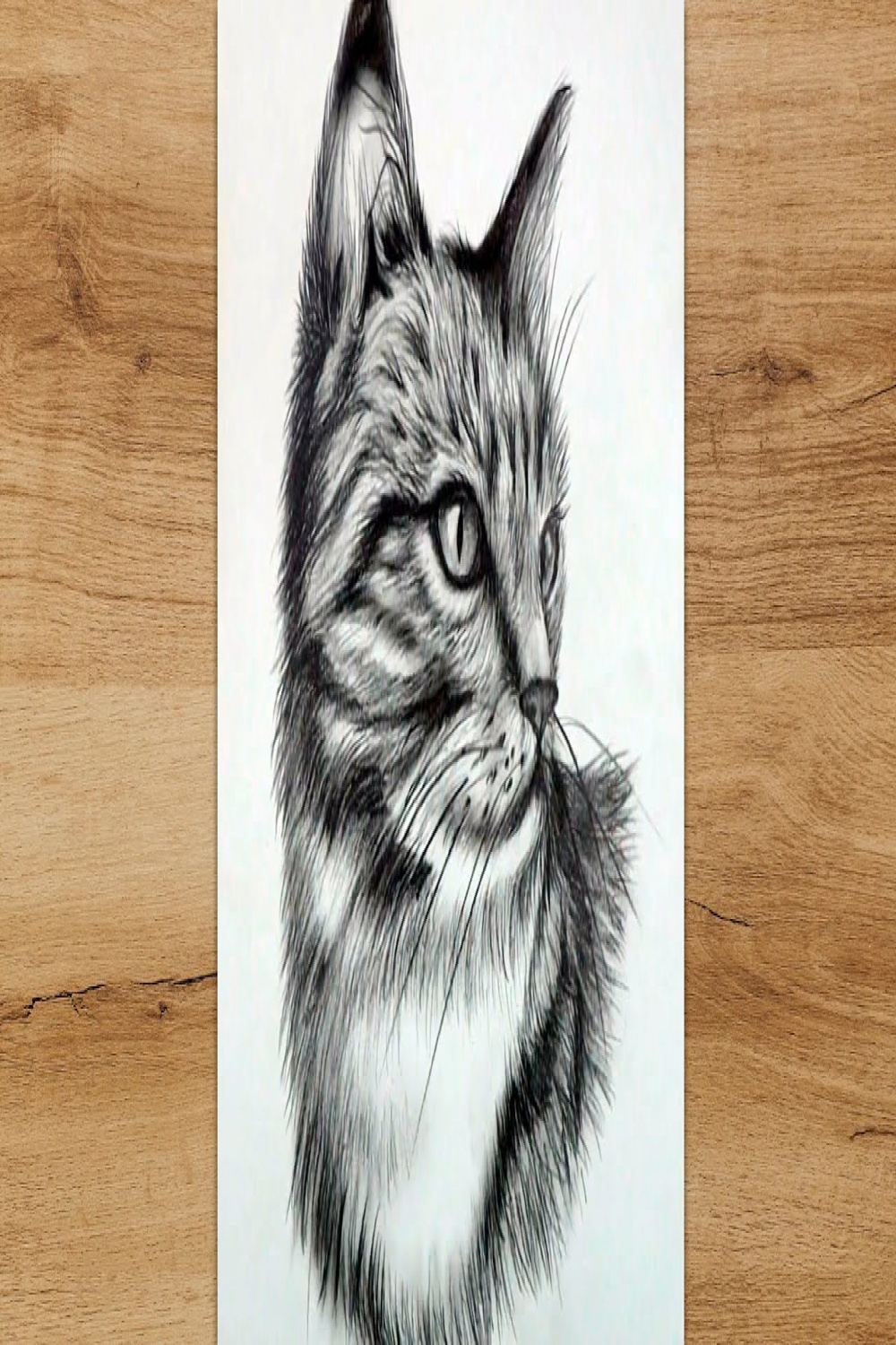 How to Draw a Realistic Cat Step by Step  Cat Head Sketch for Beginners