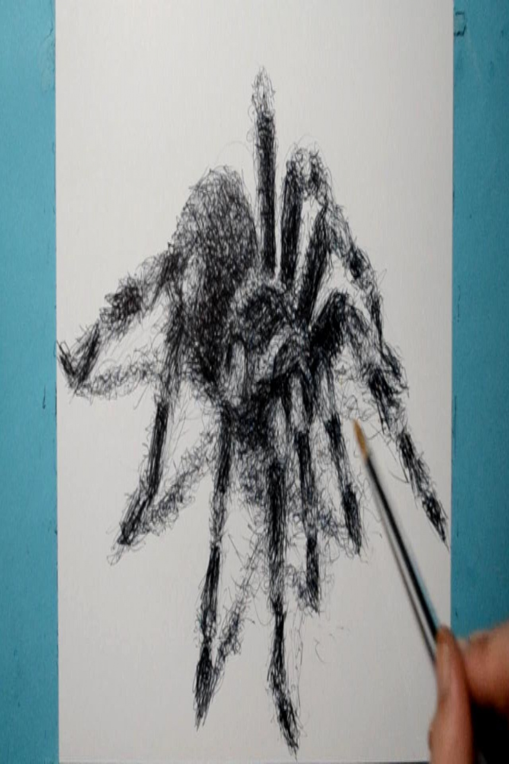 How to Draw a Realistic Tarantula Spider / Ballpoint Pen Drawing / Fun  Scribble Art Style