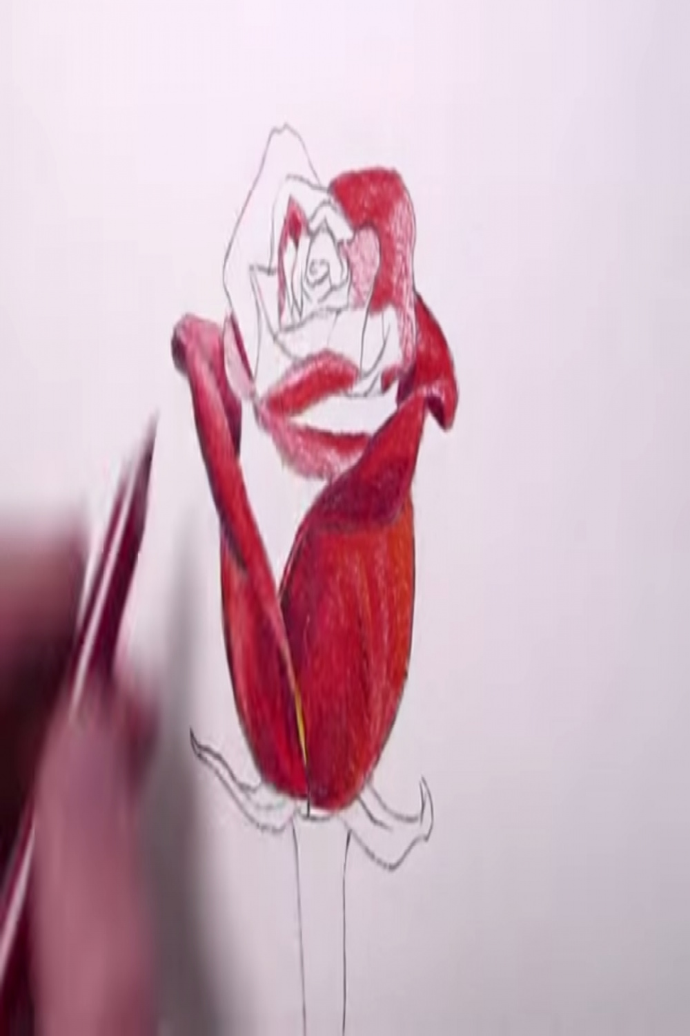 How to Draw a Red Rose
