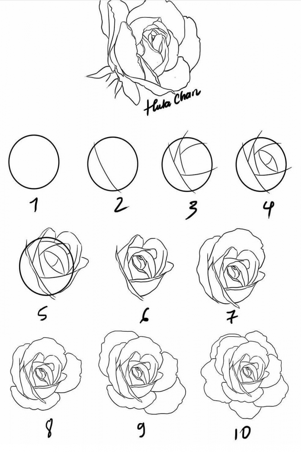 How to draw a rose  Flower drawing, Roses drawing, Flower drawing