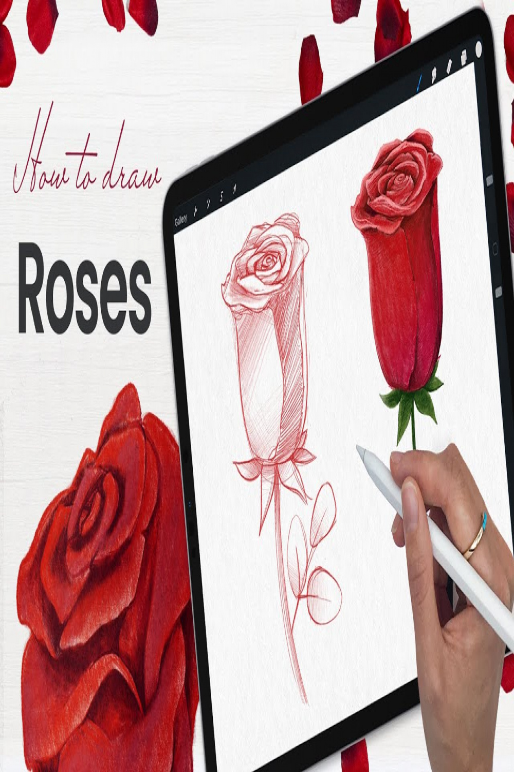 How To Draw A Rose • Paper & Pencil or Procreate Tutorial • Valentine