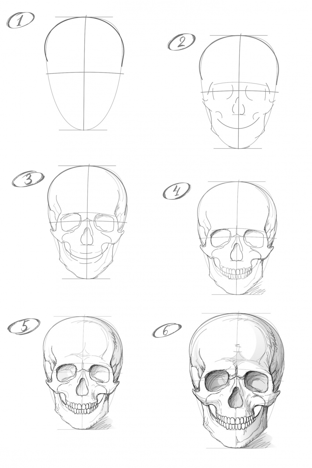 How to draw a skull with a pencil step-by-step drawing tutorial