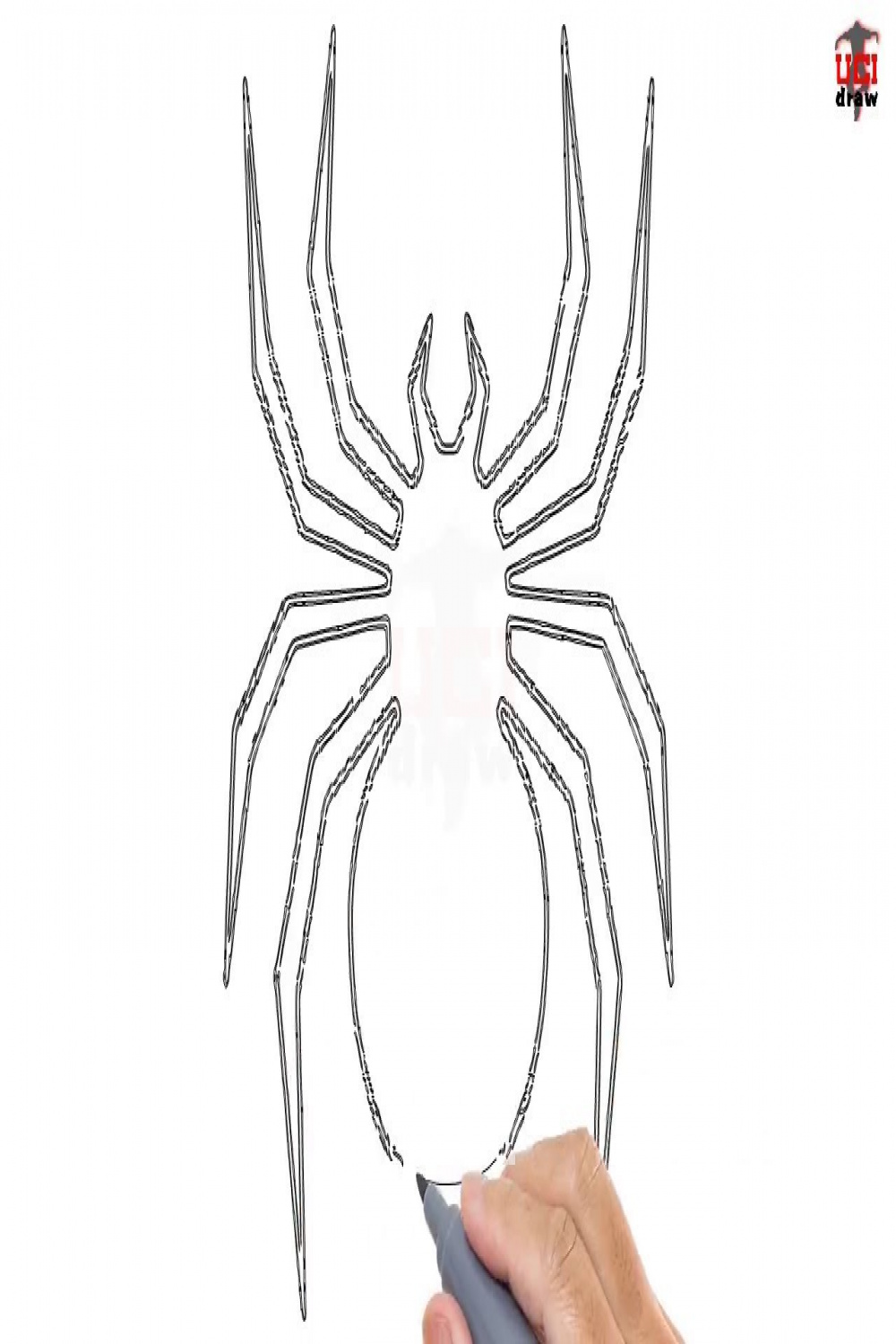 How to Draw a Spider Easy Step By Step Drawing Tutorials for Beginners –  UCIDraw