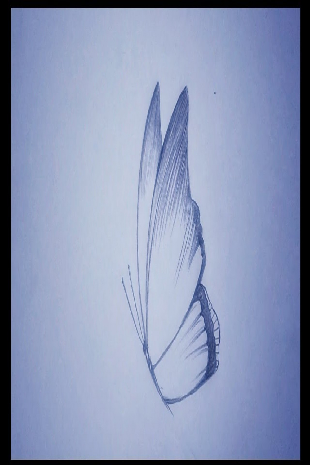 how to draw butterfly step by step/ pencil drawing of butterfly