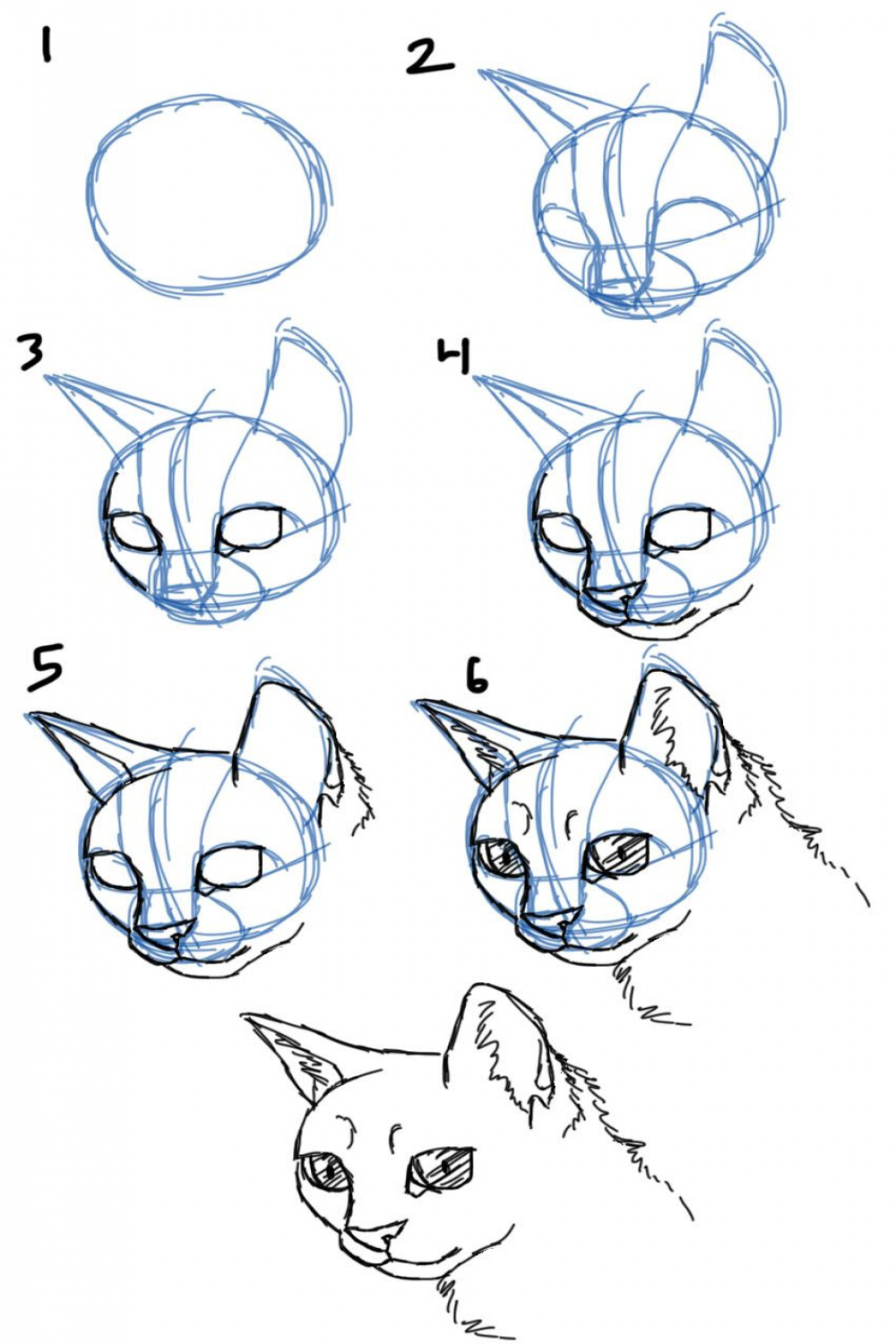 How to Draw Cat Faces/Heads- / View  Cat face drawing, Animal