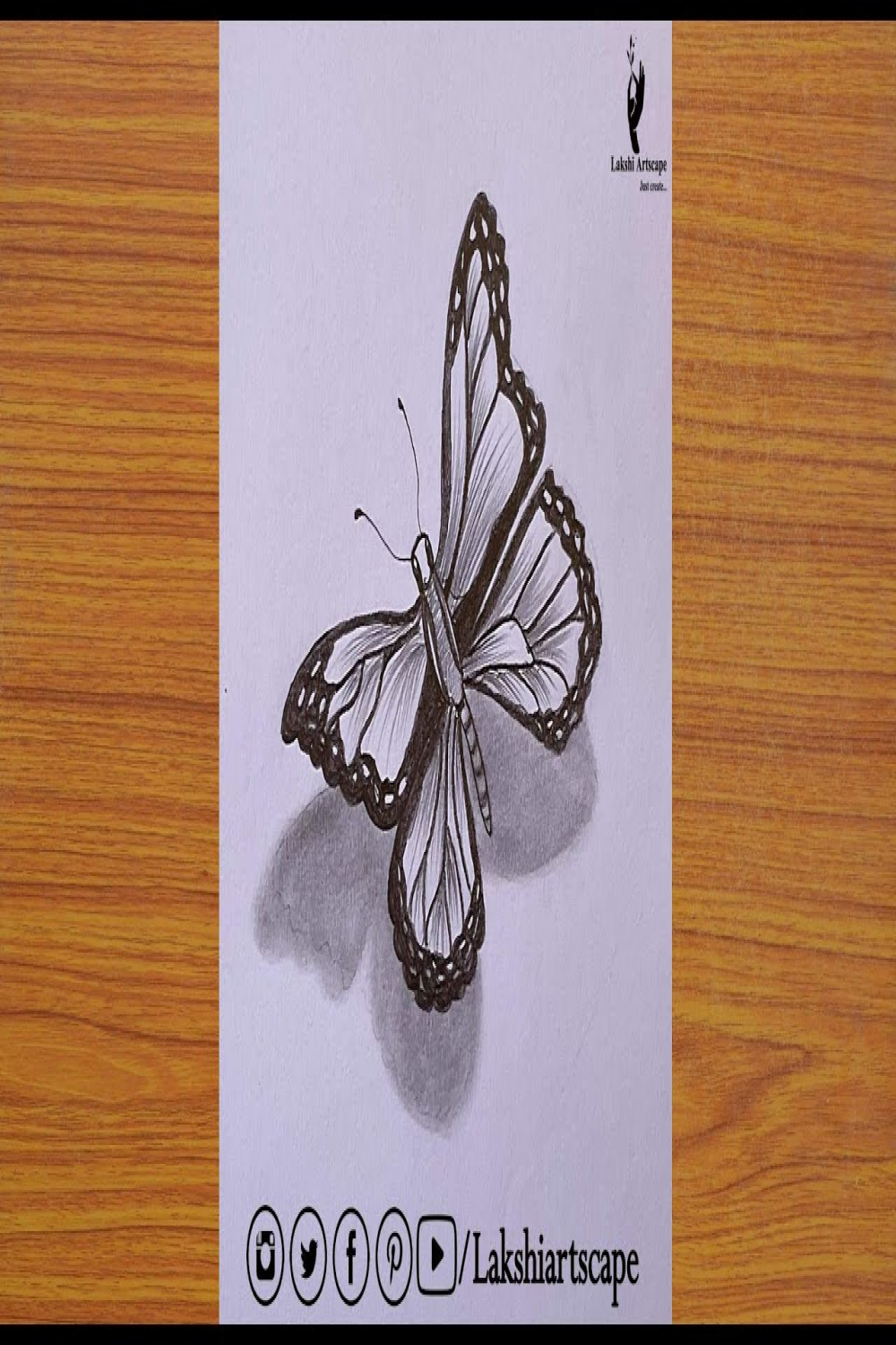 How to Draw D Butterfly  D Butterfly Drawing step by step   lakshiartscape