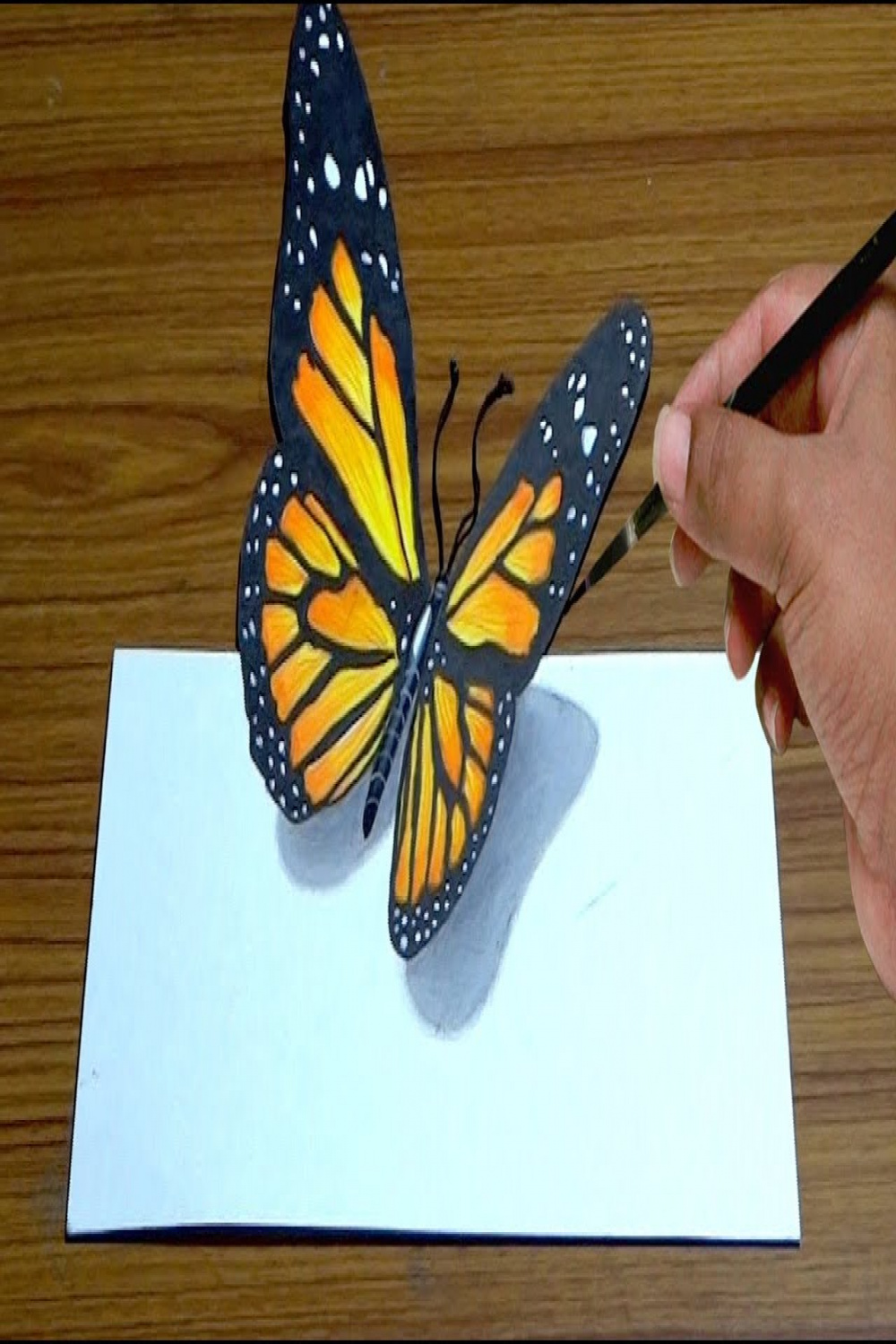 How to Draw D Butterfly in Simple Way  Anamorphic illusion  D Trick Art  Drawing
