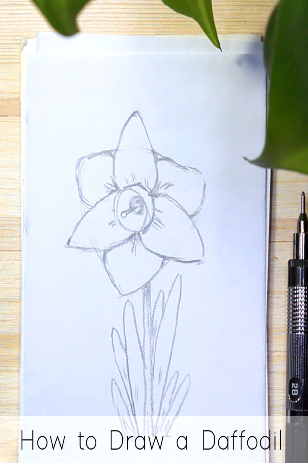 Flower Drawing For Beginners