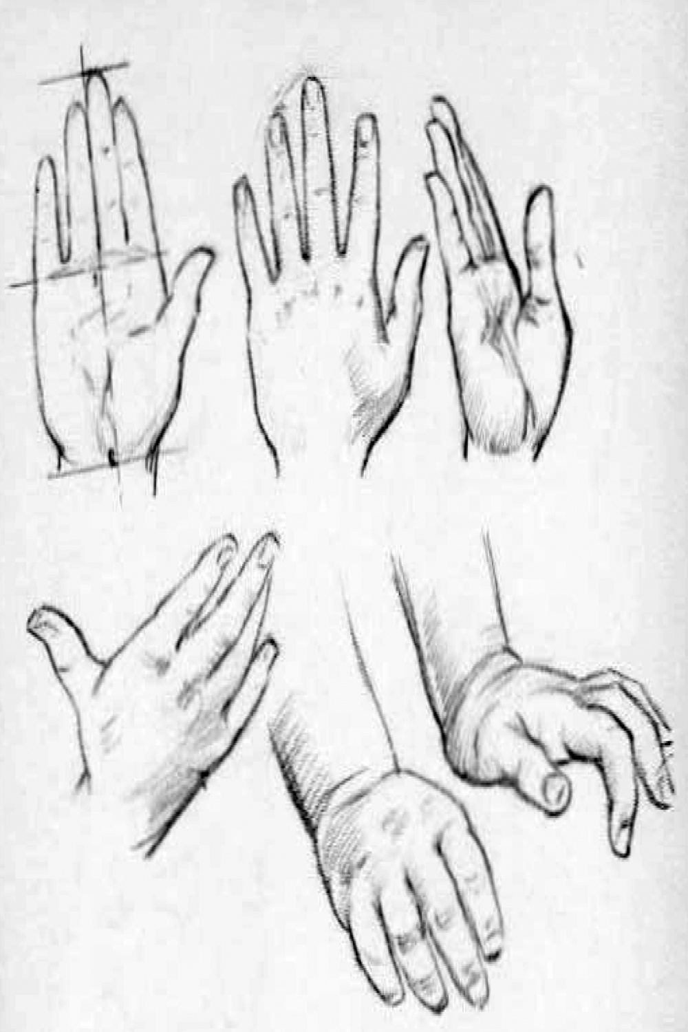 How to Draw Hands - Reference Sheets and Guides to Drawing Hands