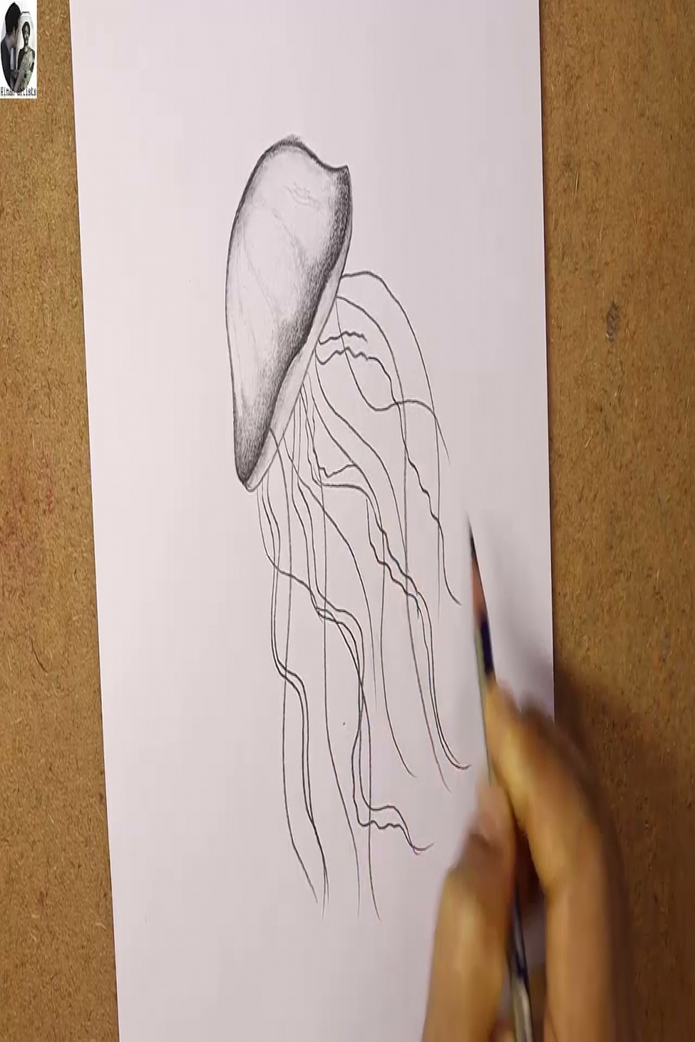 How to draw Jellyfish step by step  Pencil sketch Jellyfish  Himan Artists