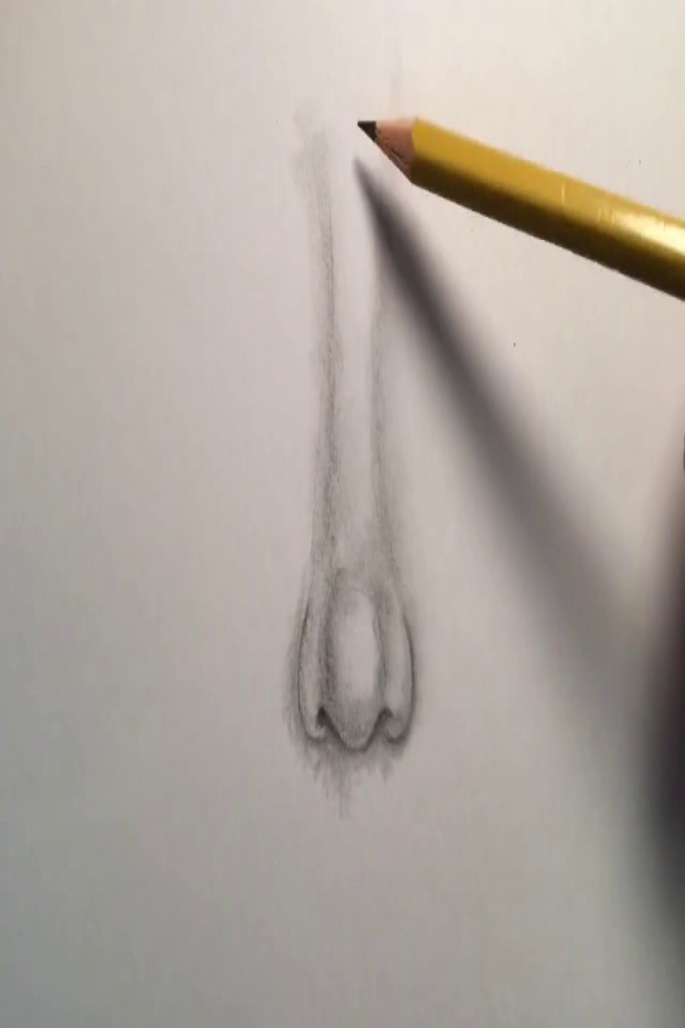 How to Draw Noses - th Grade: Human Face Unit