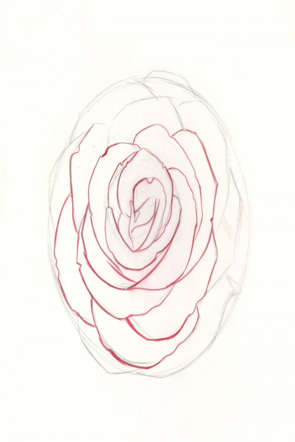 How to Draw Roses  An Easy and Complete Step-by-Step Drawing Demo