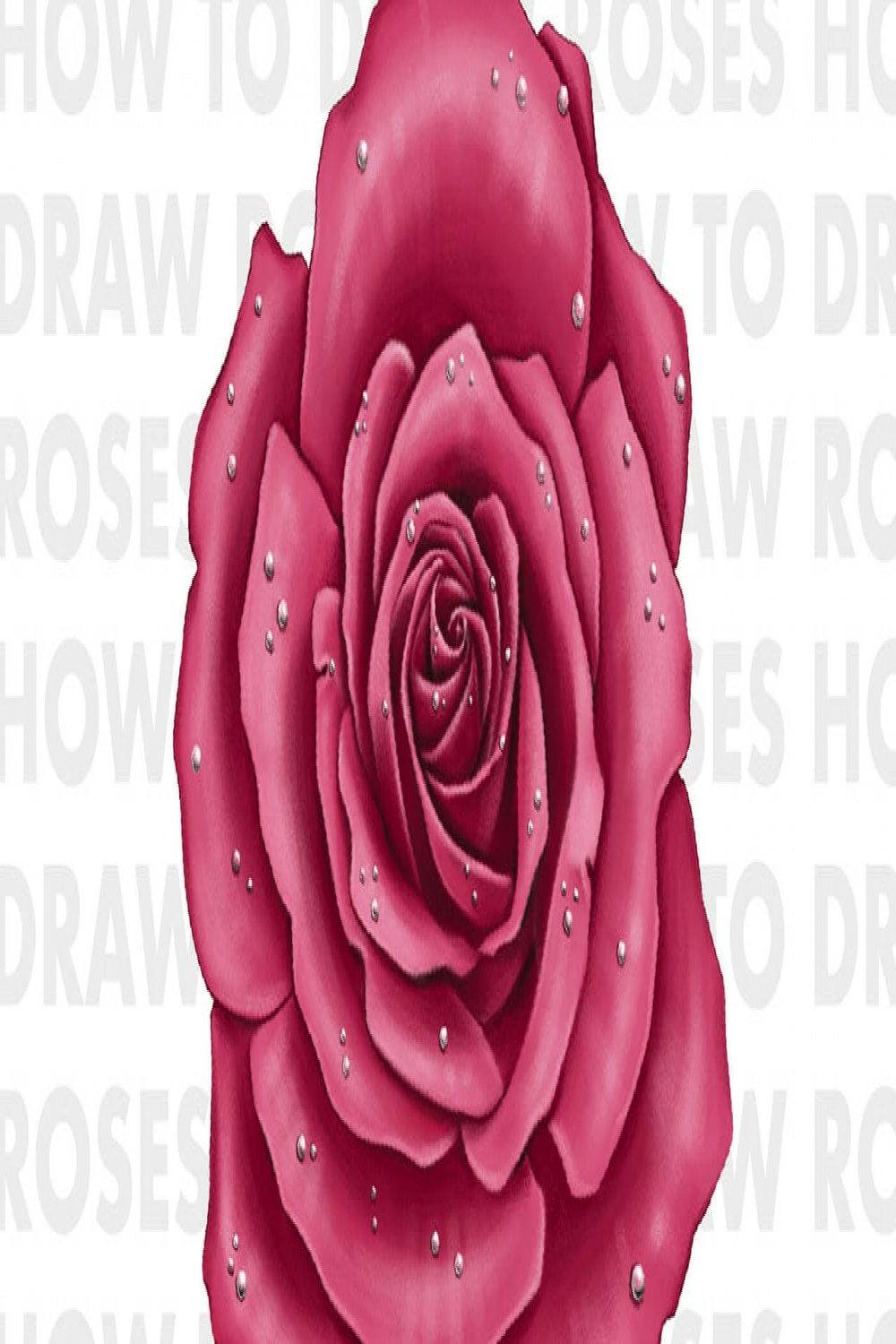 How to Draw Roses for Procreate Beginners