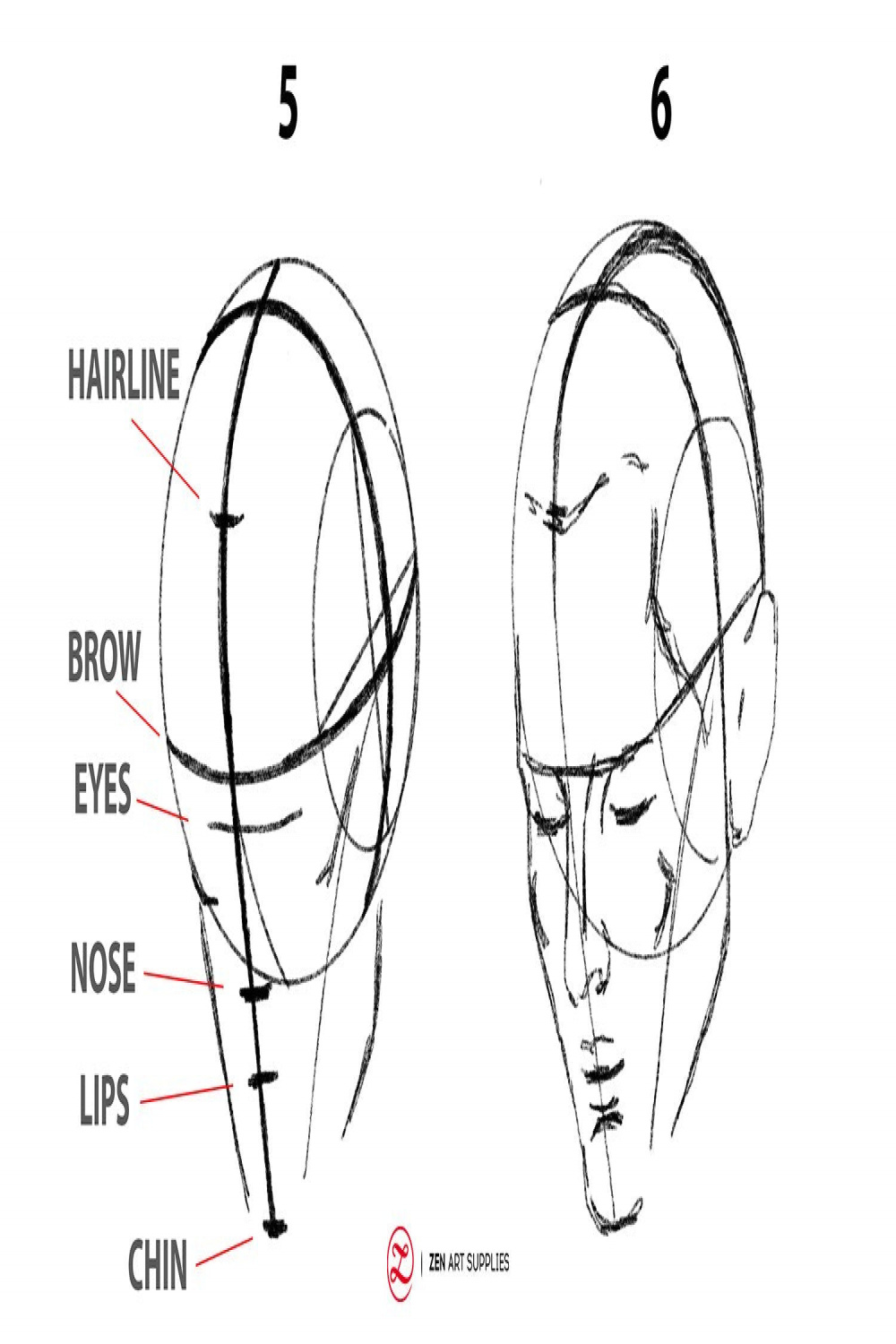 How To Draw / View Face: Step-by-step – ZenARTSupplies