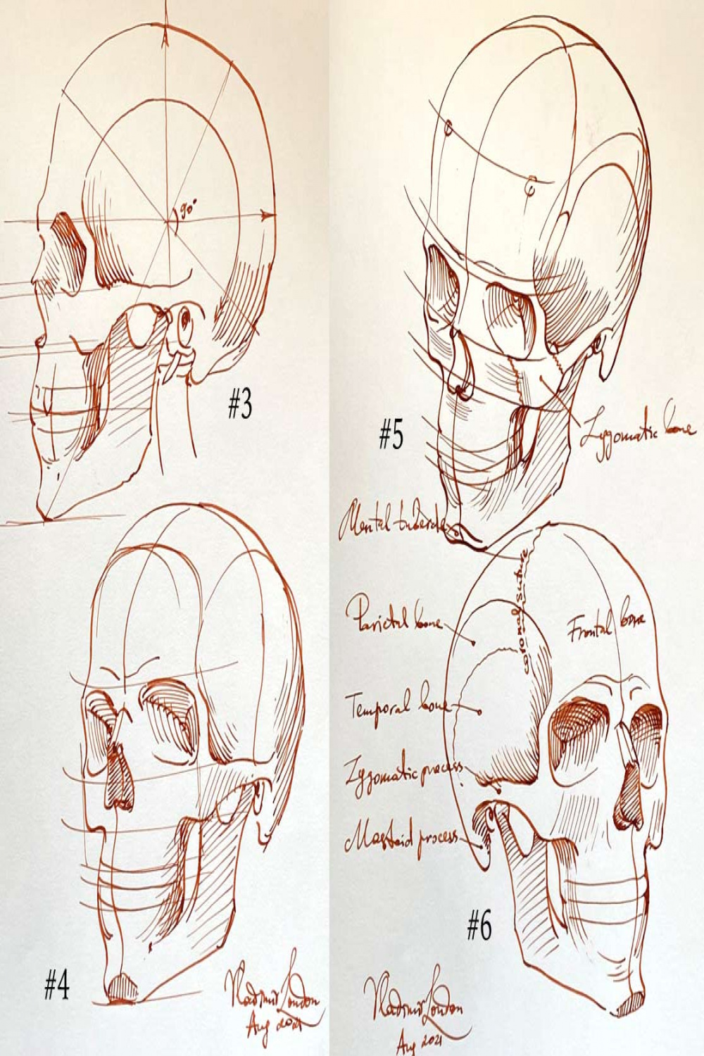 How to Sketch a Skull