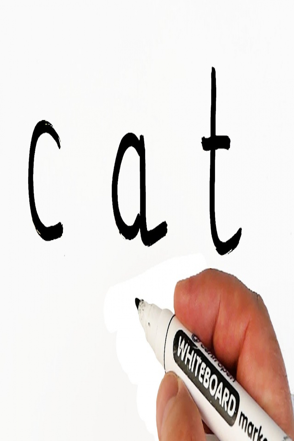 How to turn word CAT into CARTOON CAT 😺 Easy Drawing on a Whiteboard