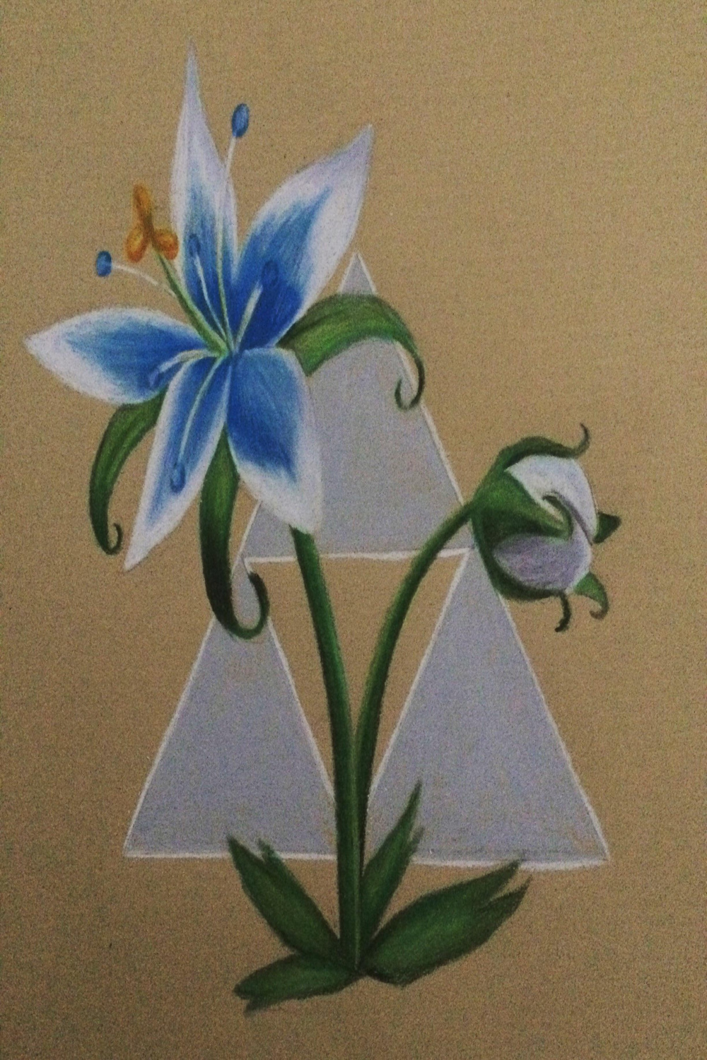 I tried drawing a silent princess flower from Zelda BotW : r/drawing