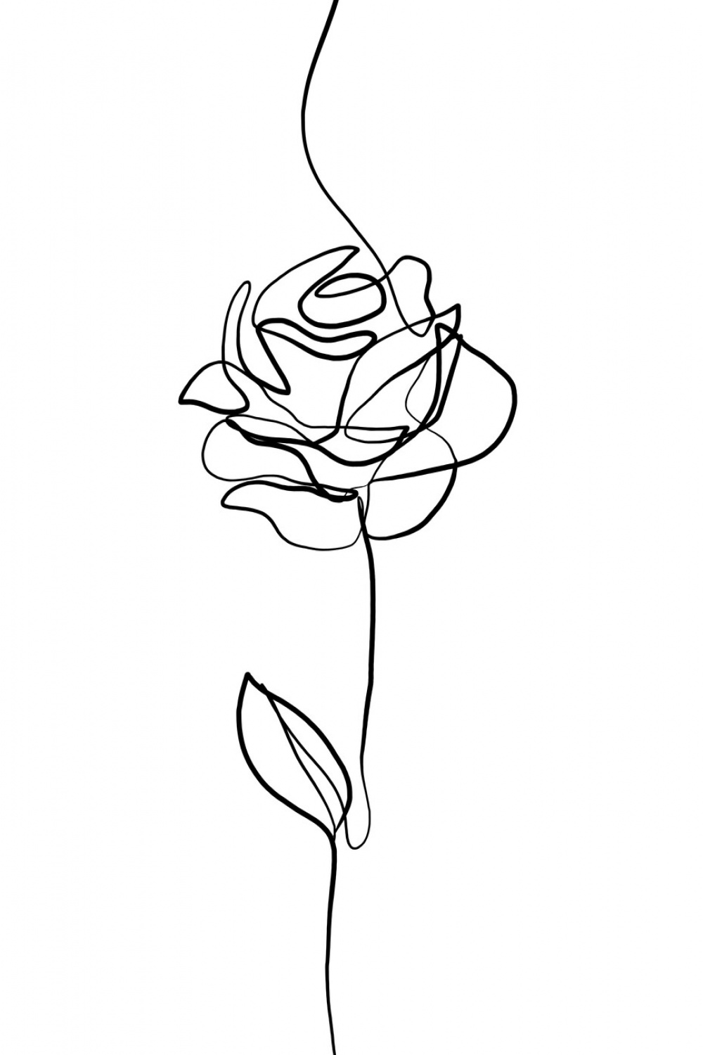 Illustration Rose Line Drawing